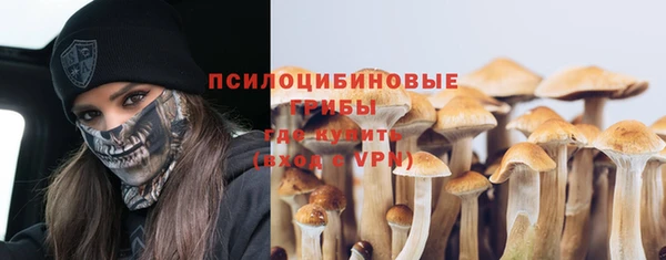 COCAINE Гусев
