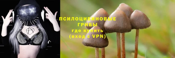 2c-b Горнозаводск