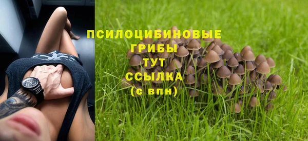 амфетамин Гусиноозёрск
